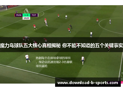 魔力鸟球队五大核心真相揭秘 你不能不知道的五个关键事实